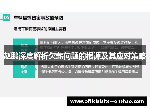 赵鹏深度解析欠薪问题的根源及其应对策略