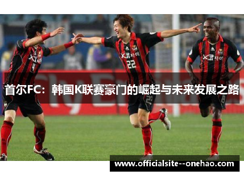 首尔FC：韩国K联赛豪门的崛起与未来发展之路