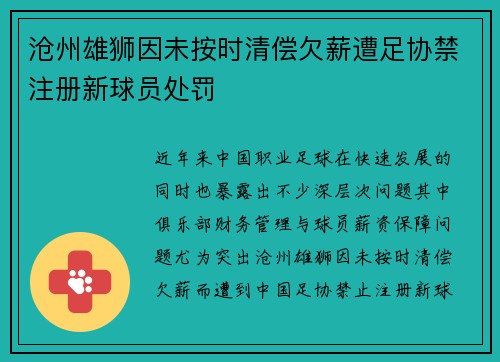沧州雄狮因未按时清偿欠薪遭足协禁注册新球员处罚
